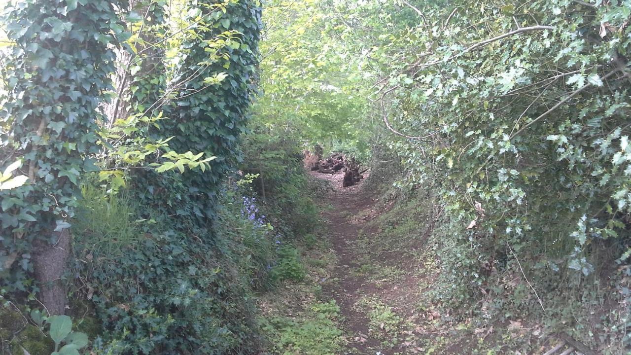 La Petite Cretouffiere - Naturiste Accommodation - Adult Only Colombiers-du-Plessis Luaran gambar